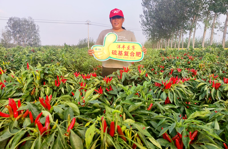 种植户：田美霞_副本.jpg